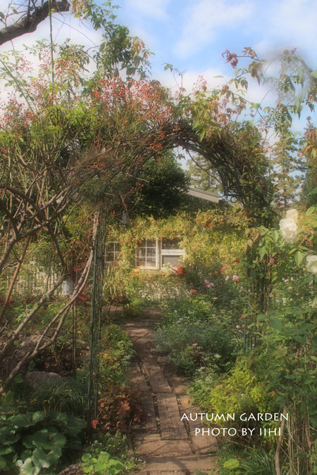 autumngarden8_iihi.jpg