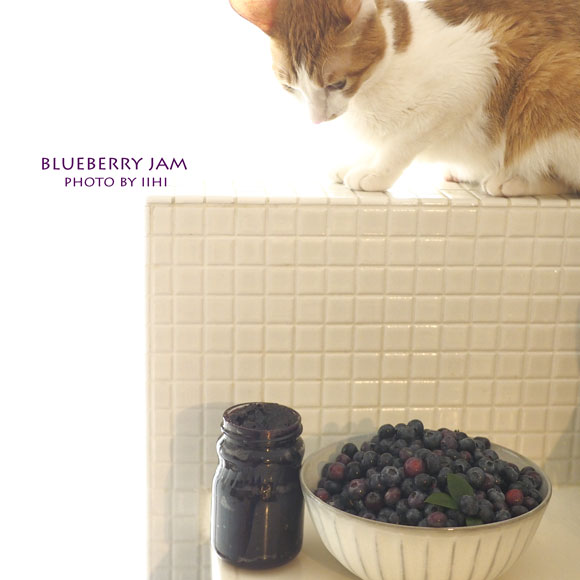 blueberryjam2-2015june.jpg