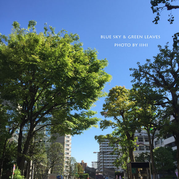 blueskygreenleaves.jpg