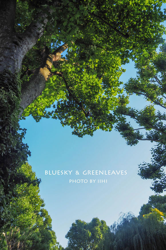 blueskygreenleaves2014london.jpg