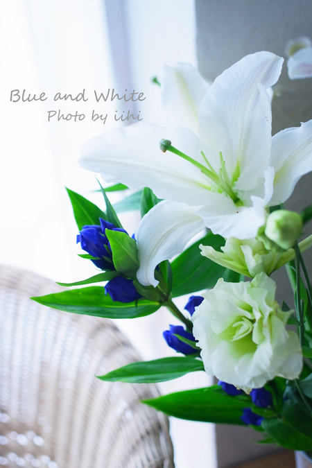 bluewhitejuly2012.jpg