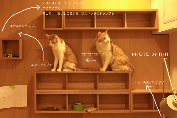 catstep-muji-iihi2.jpg