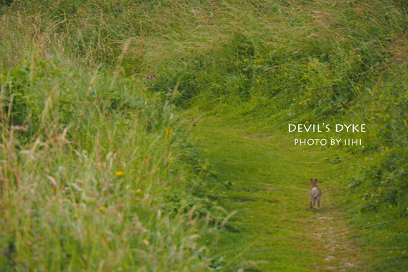 devil'sdyke2014_003.jpg