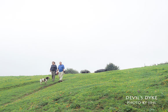 devil'sdyke2014_007.jpg