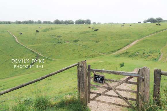 devil'sdyke2014_019.jpg