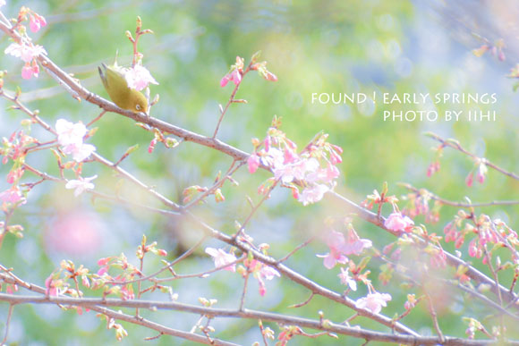 earlyspring1-20140205_iihi.jpg