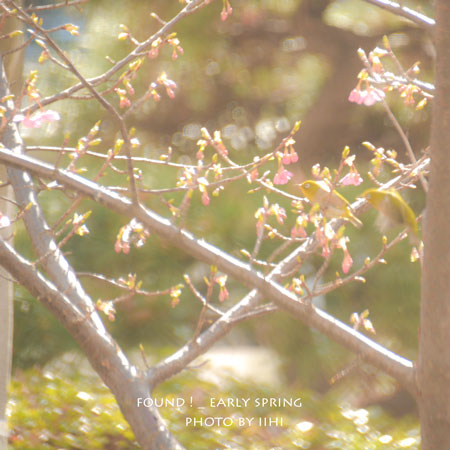 earlyspring220140205_iihi.jpg