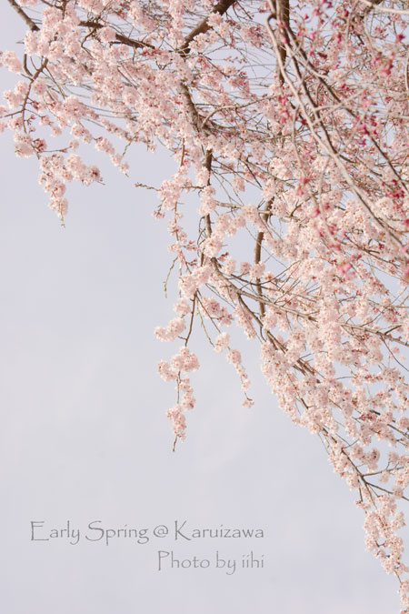 earlyspring_karuizawatabi9j.jpg