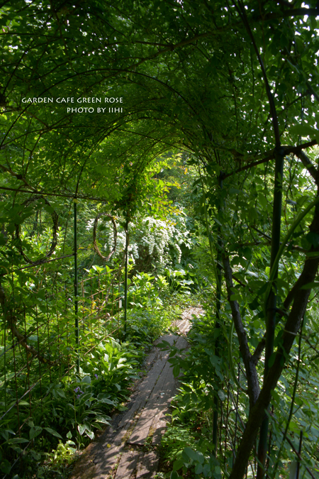 gardencafegreenrose0.jpg