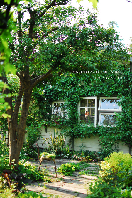 gardencafegreenrose5.jpg