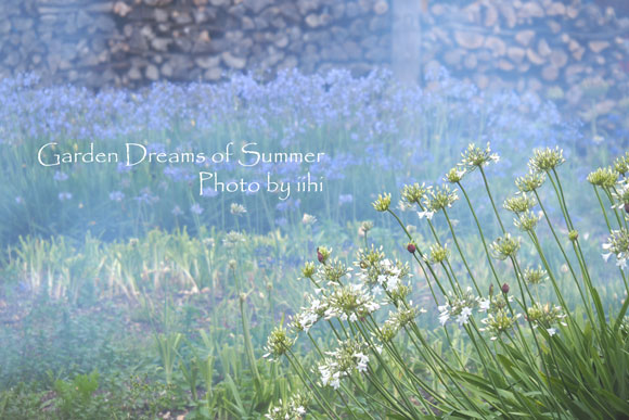gardendreamsofsummer2.jpg