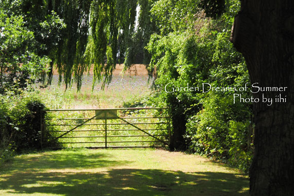 gardendreamsofsummer3.jpg