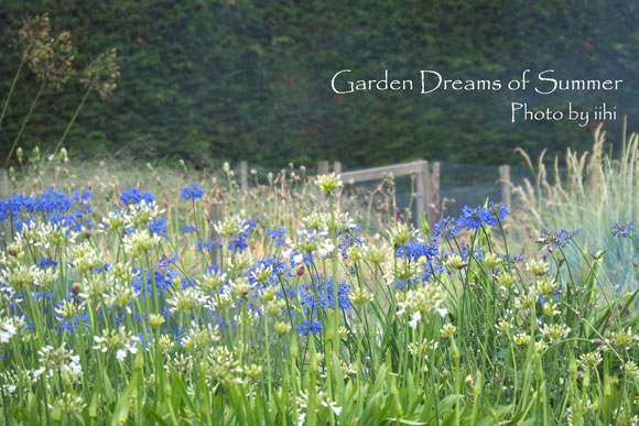 gardendreamsofsummer4jpg.jpg