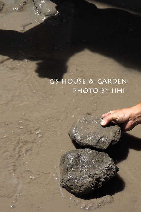 ghousegarden5-20150902.jpg