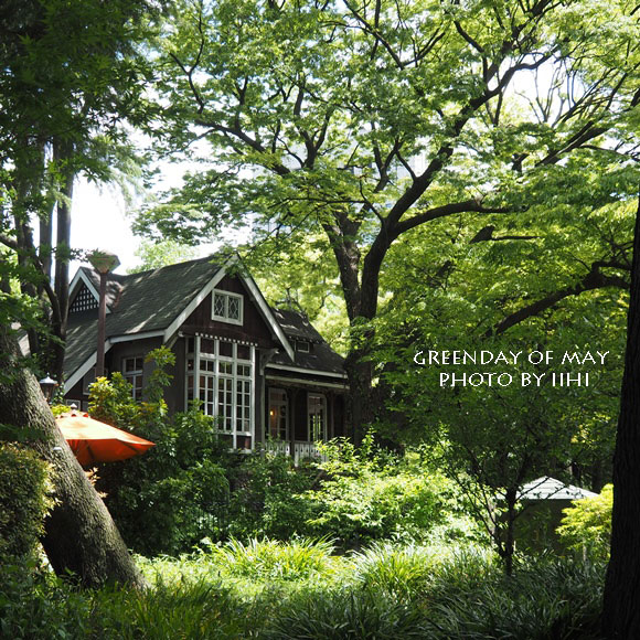 greendayofmay5-2015.jpg