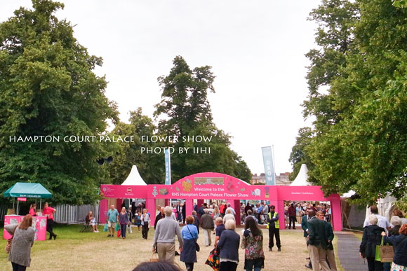 hamptonflowershow2014_001.jpg