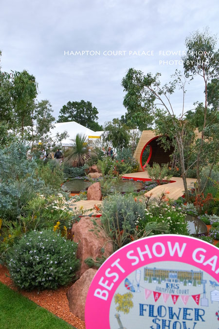 hamptonflowershow2014_005.jpg