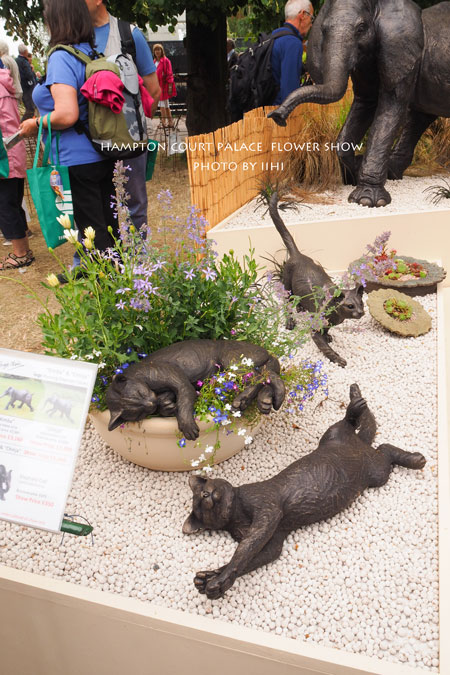 hamptonflowershow2014_021.jpg