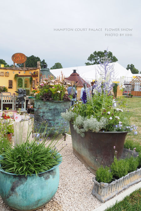 hamptonflowershow2014_025.jpg