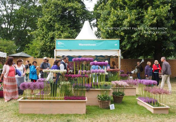 hamptonflowershow2014_061.jpg
