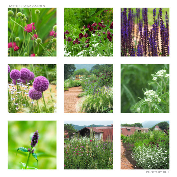 hfarmgardenCollages.jpg