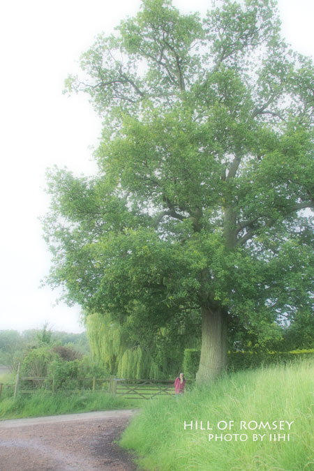 hill-of-romsey04_iihi.jpg