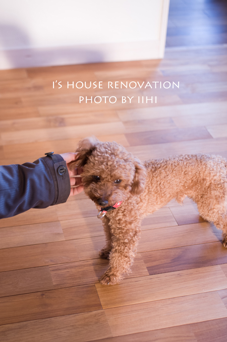 ihouserenovation2-20140226_.jpg