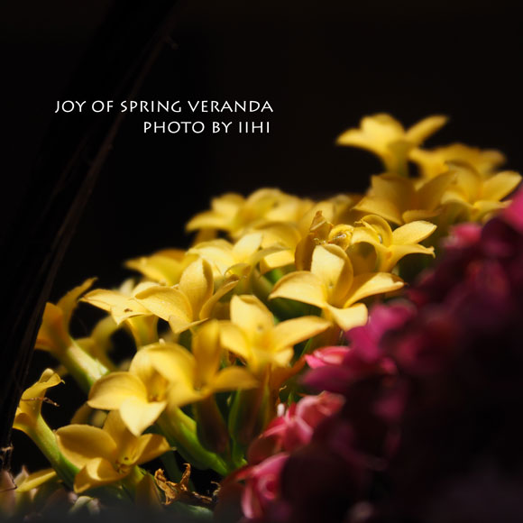 joyofspringveranda3-2015.jpg
