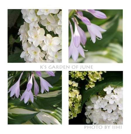 k'sGardenofJune2012.jpg