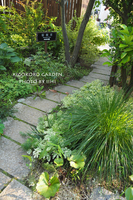 kigokorogarden20150711.jpg