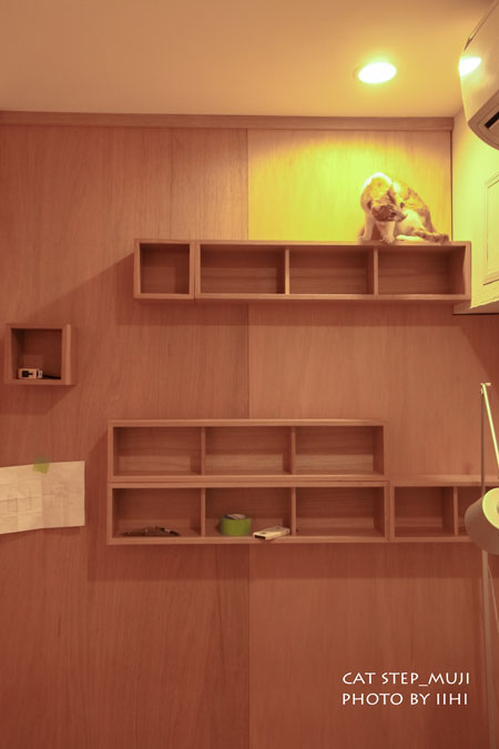 muji-catstep01_iihi.jpg