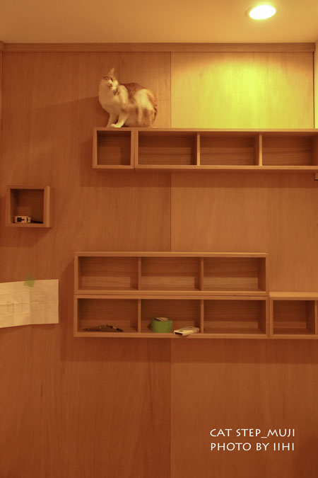 muji-catstep0_iihi.jpg