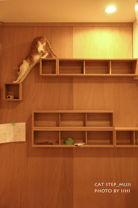 muji-catstep1_iihi.jpg