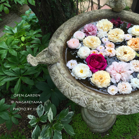 nagareyamaopengarden2015_00.jpg