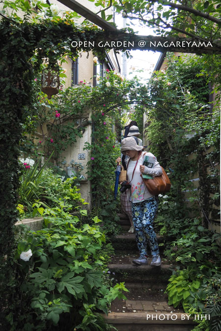 nagareyamaopengarden2015_02.jpg