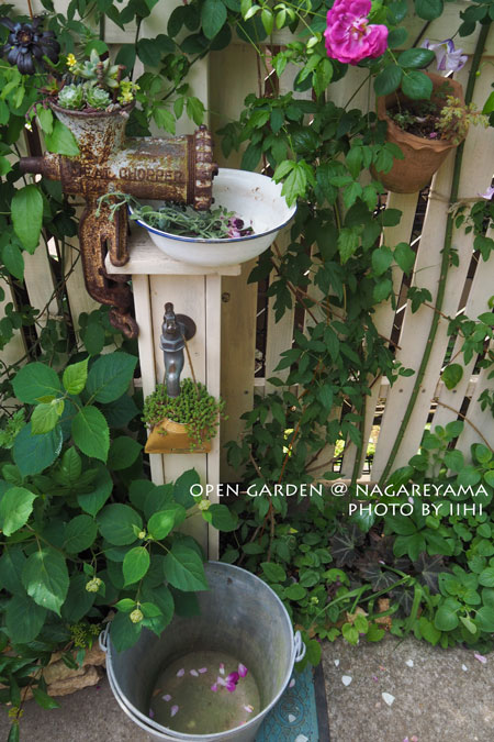 nagareyamaopengarden2015_03.jpg