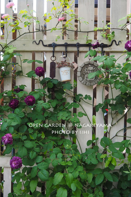 nagareyamaopengarden2015_07.jpg