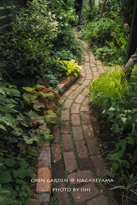 nagareyamaopengarden2015_27.jpg