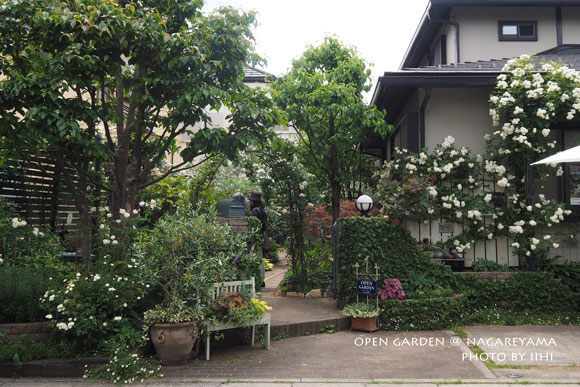 nagareyamaopengarden2015_30.jpg