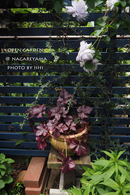 nagareyamaopengarden2015_33.jpg