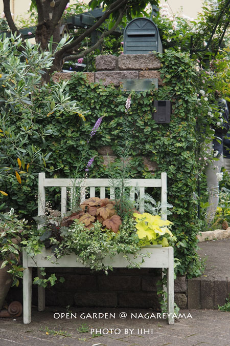 nagareyamaopengarden2015_34.jpg