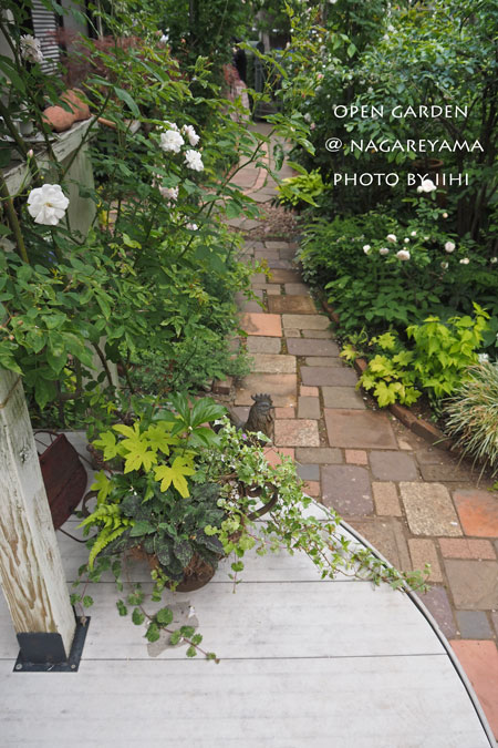 nagareyamaopengarden2015_49.jpg