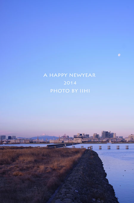 newyear2014_iihi.jpg