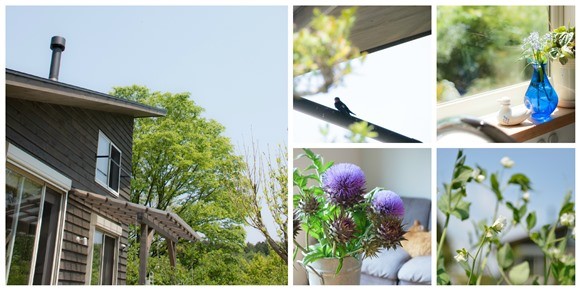 okanoie collage1s.jpg