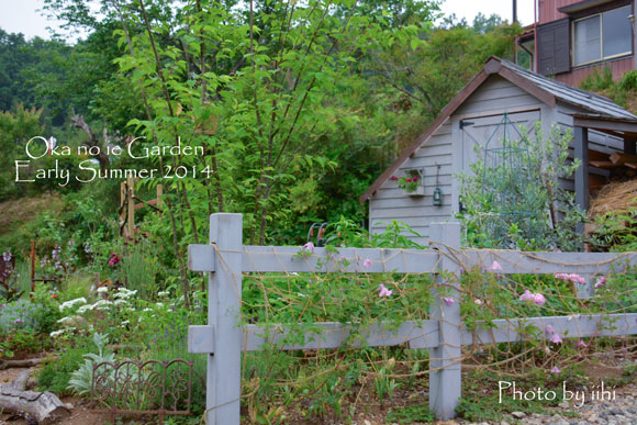 okanoiegarden007-2014e-summe.jpg