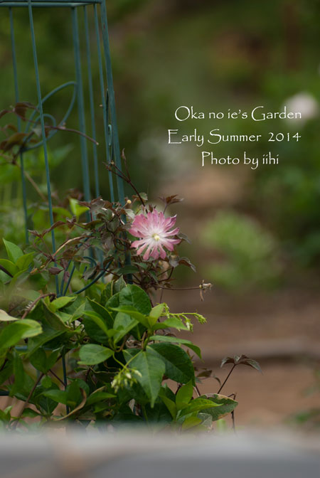 okanoiegarden1-2014e-summer.jpg