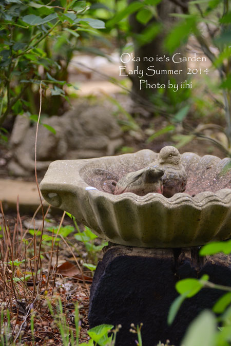 okanoiegarden15-2014e-summe.jpg