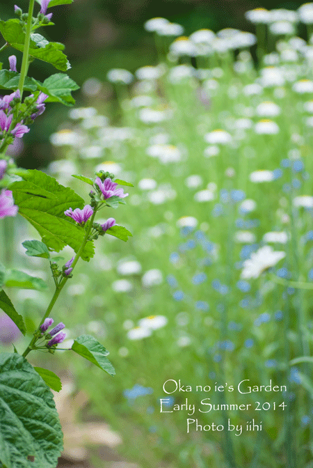 okanoiegarden37-2014e-summe.gif