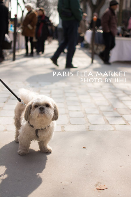 paris-flea-market_iihi.jpg