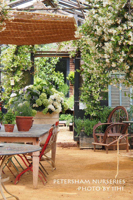 petersham-nurseries-uk3.jpg